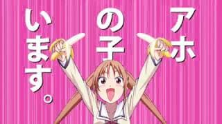 Aho Girl